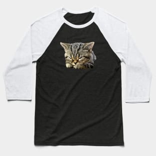 American Shorthair Cat Baseball T-Shirt